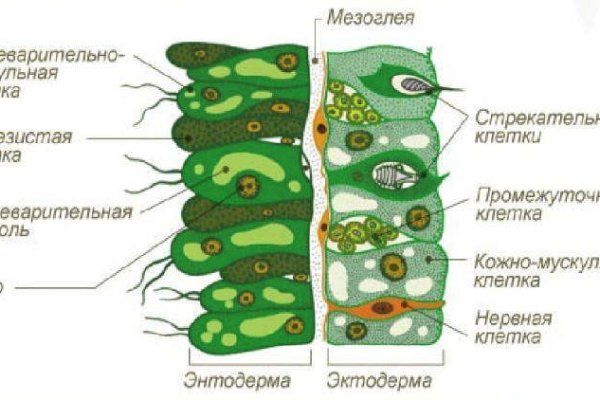 Кракен тор текст