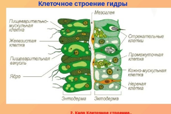 Кракен сбой