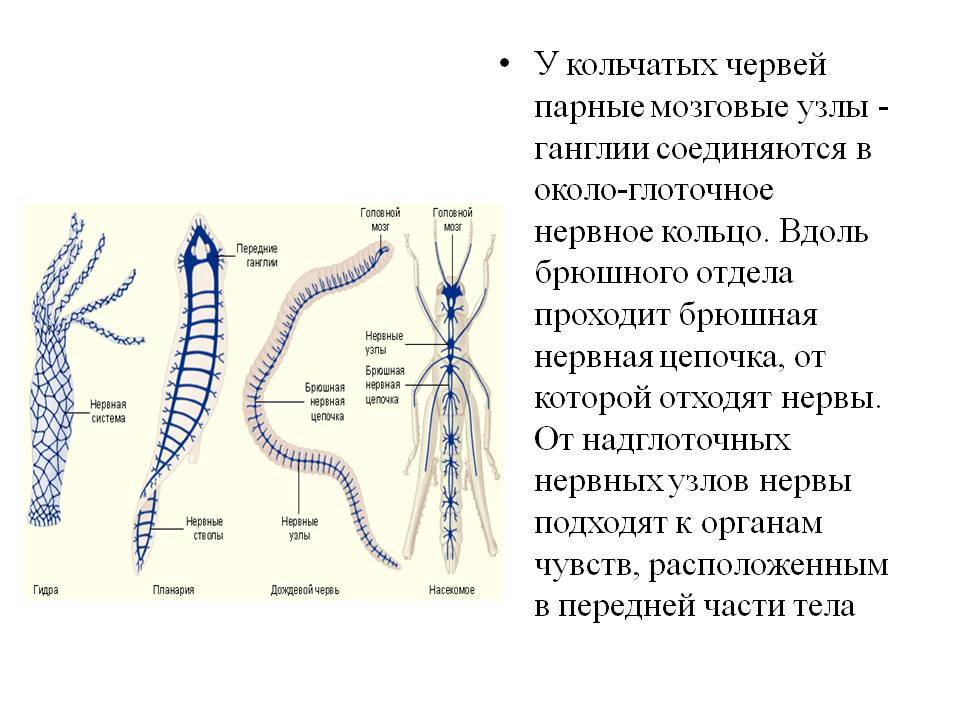 Kraken ссылка тор 2krnk biz kraken17ate pro